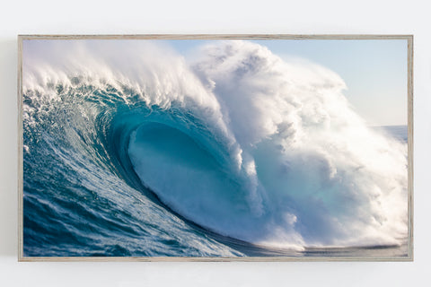 20FT+ Jaws
