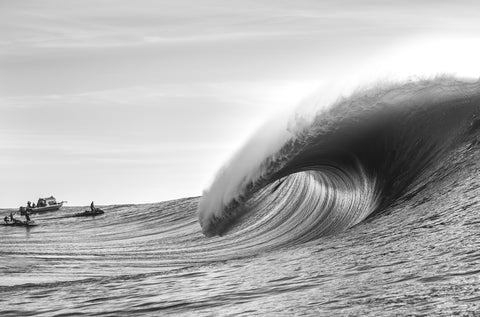 Monochrome Fury