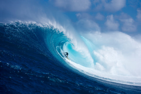 Rising the Bar - Shane Dorian