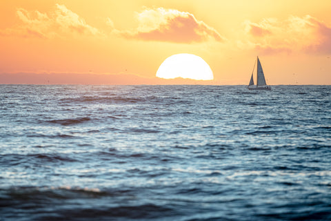 Into the Horizon