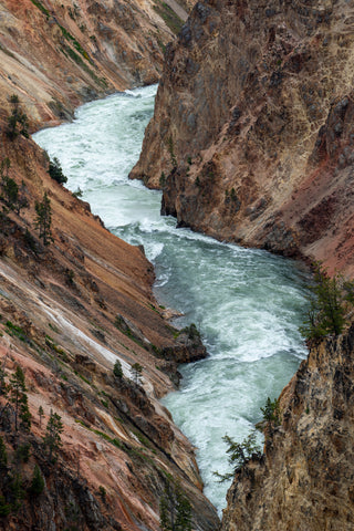 Wild Passage