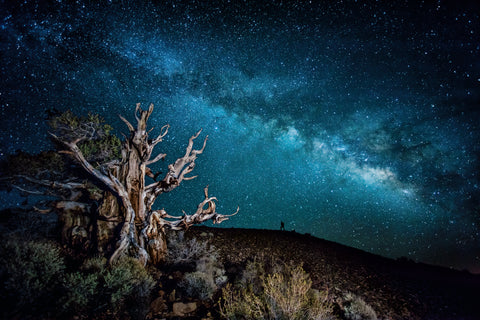 Silent Cosmos