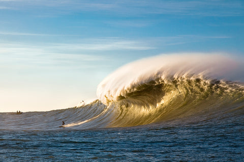 Golden California - Mavericks