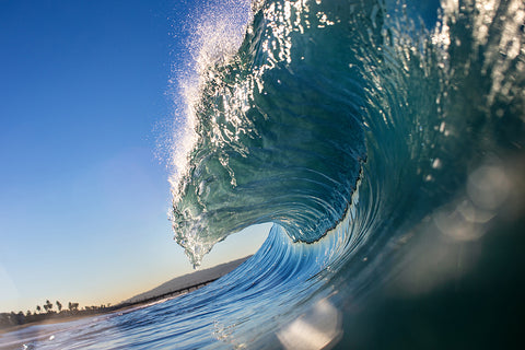 Crispy Morning - Manhattan Beach