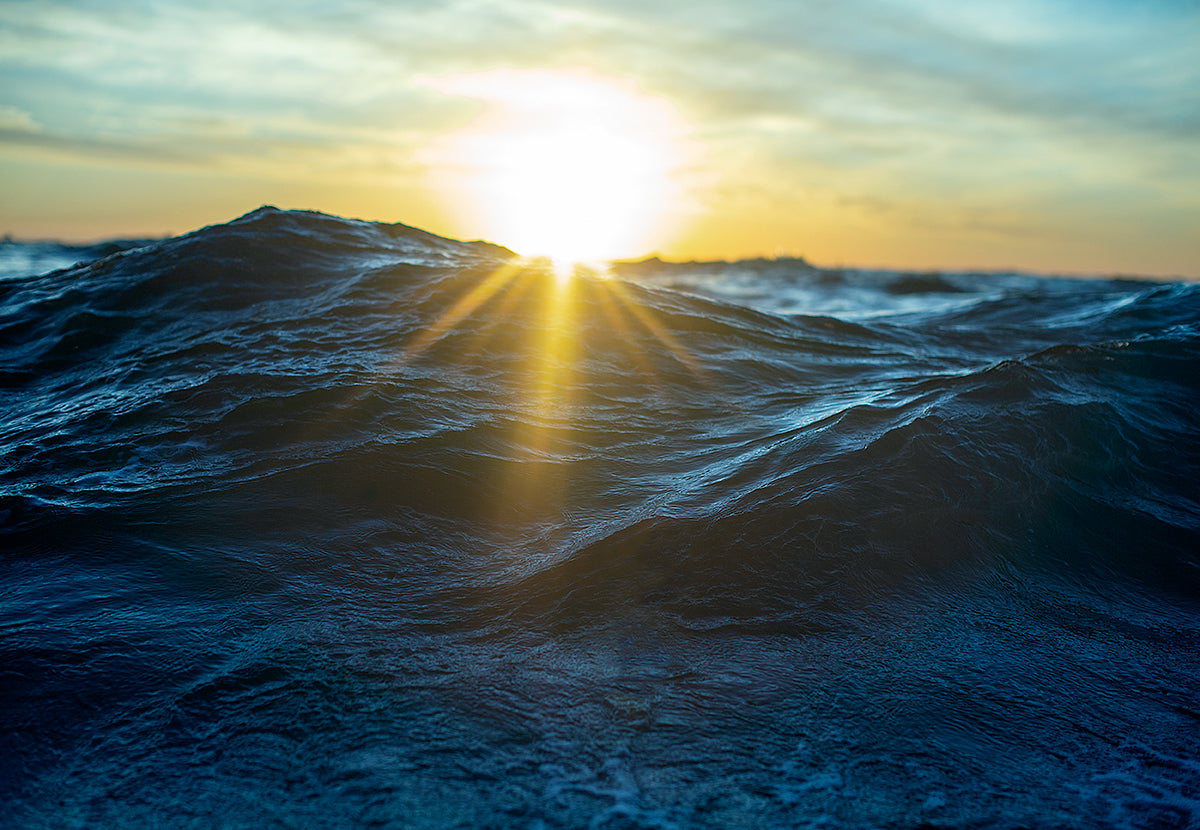 Beautiful Deep Ocean Cleaning Deep Dark Ocean – Fred Pompermayer